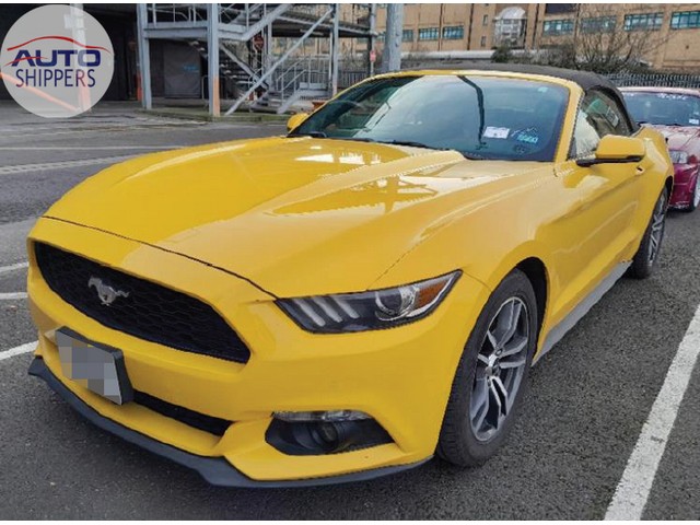 Ford Mustang - RoRo - USA